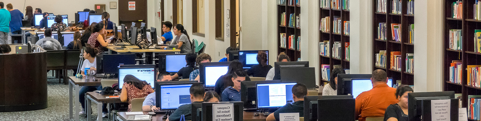 Students using the computers at the Brownsville Campus library.